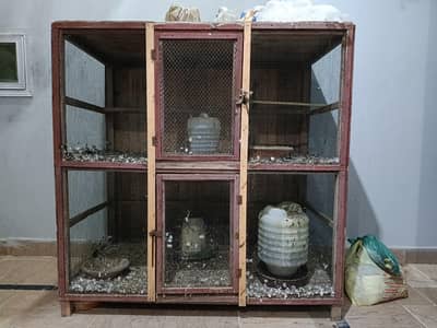Pigeon Cage