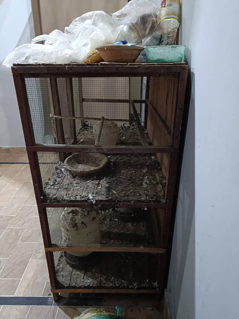 Pigeon Cage 1