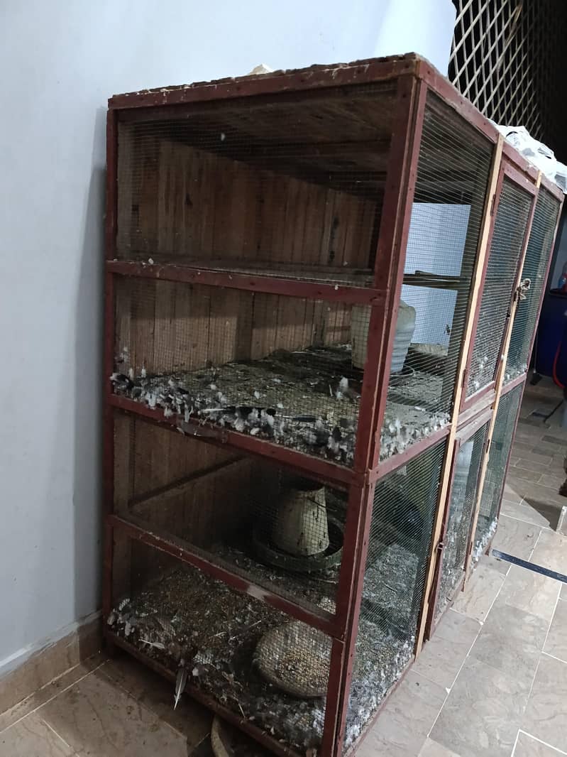 Pigeon Cage 2