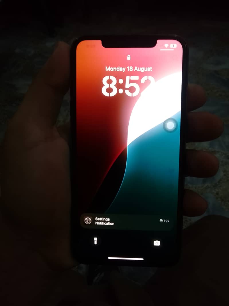 Apple iPhone XS Max 5