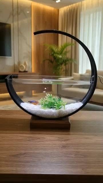 Moon aquarium 2