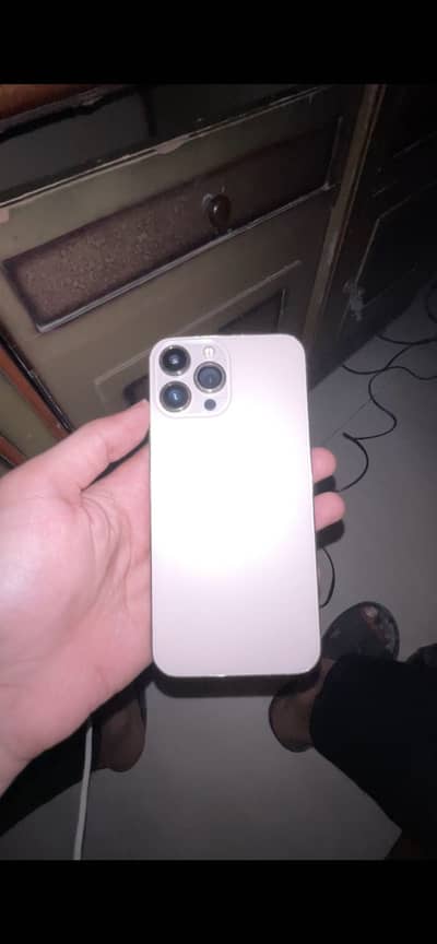 Apple iPhone 13 Pro Max fu