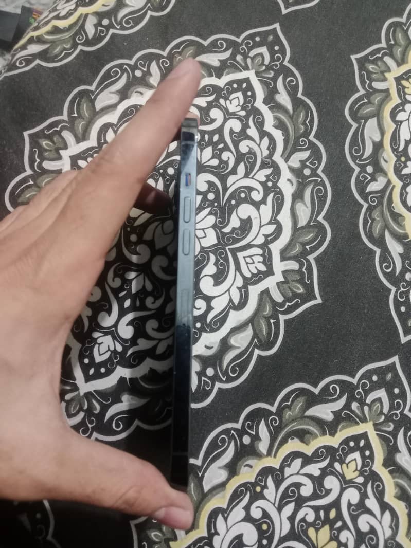 Apple iPhone 12 pro max 1