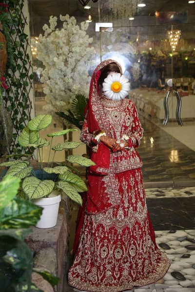 bridal wedding dress