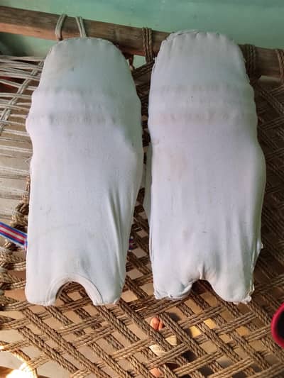 cricket pads