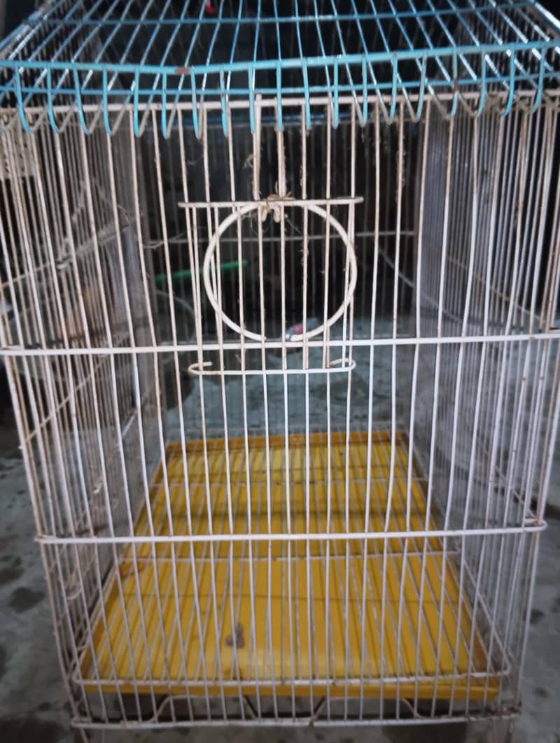peagon cage 1