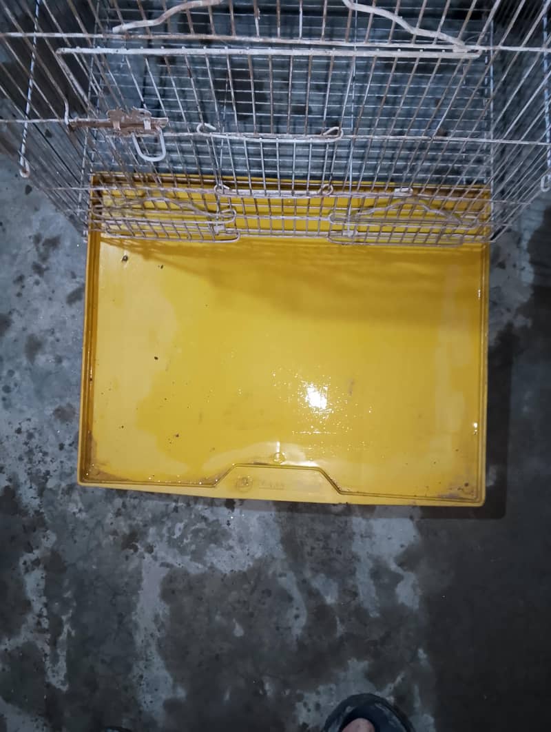 peagon cage 2