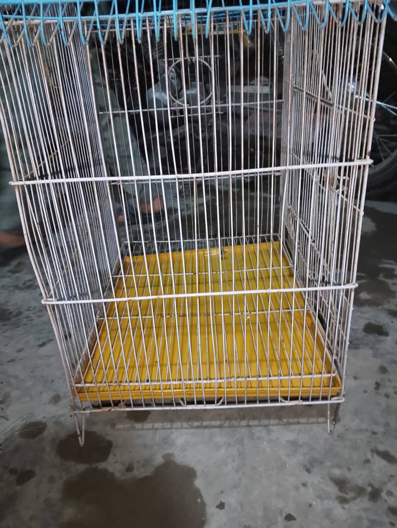 peagon cage 3