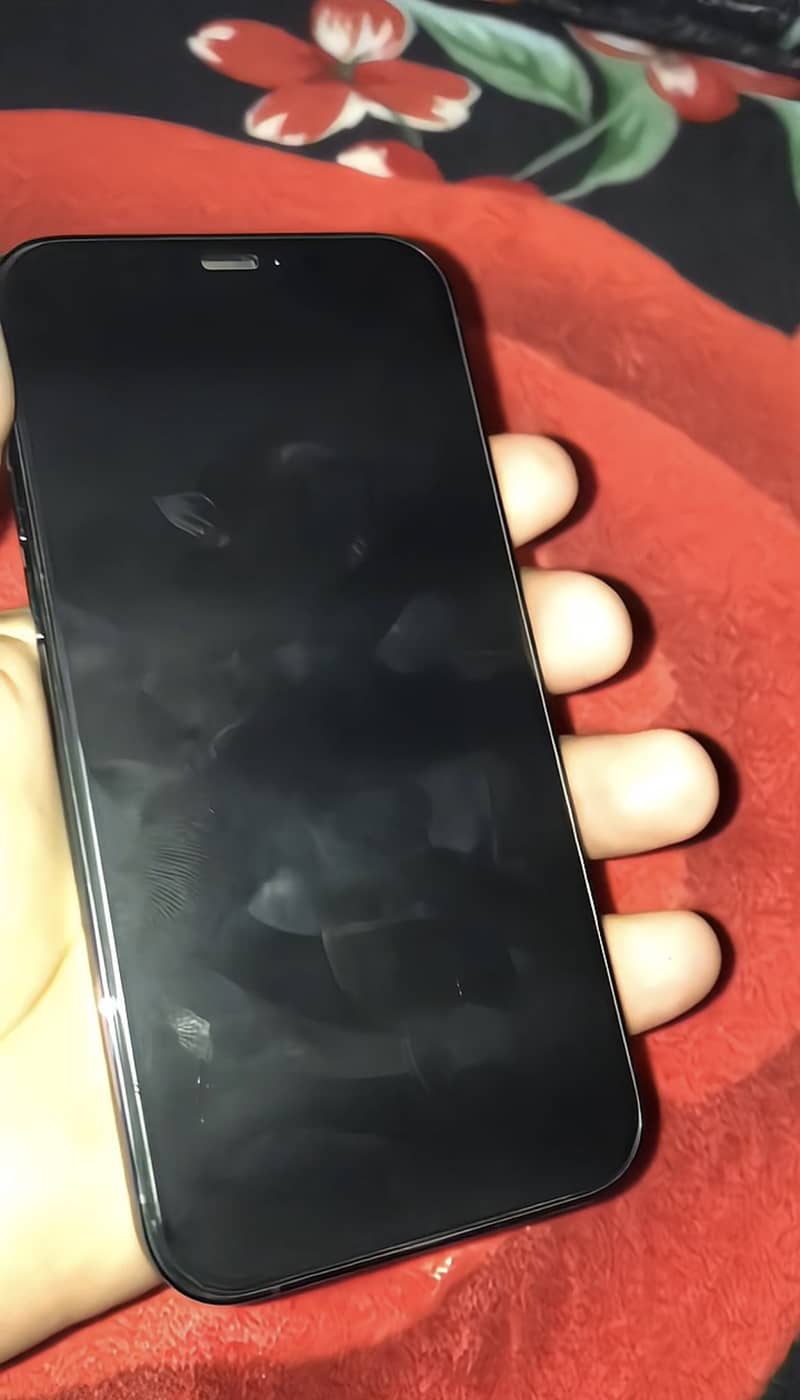 Apple iPhone 12 Pro 3