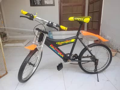 Japanese cycle