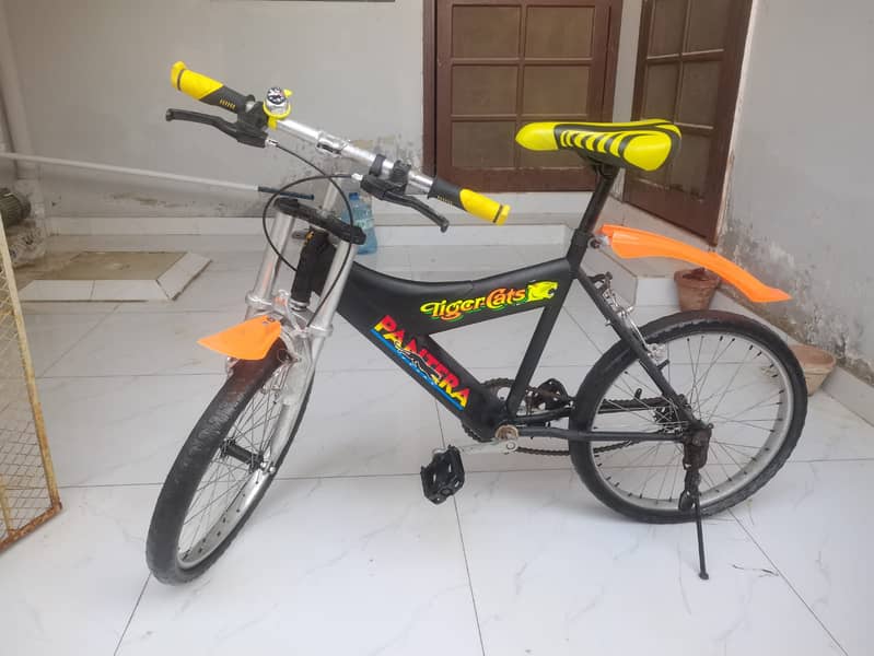 Japanese cycle 2
