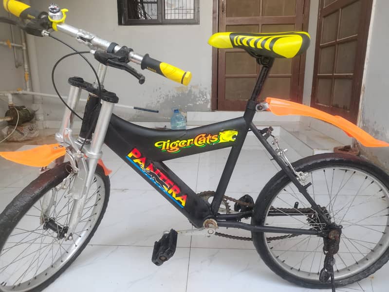 Japanese cycle 3