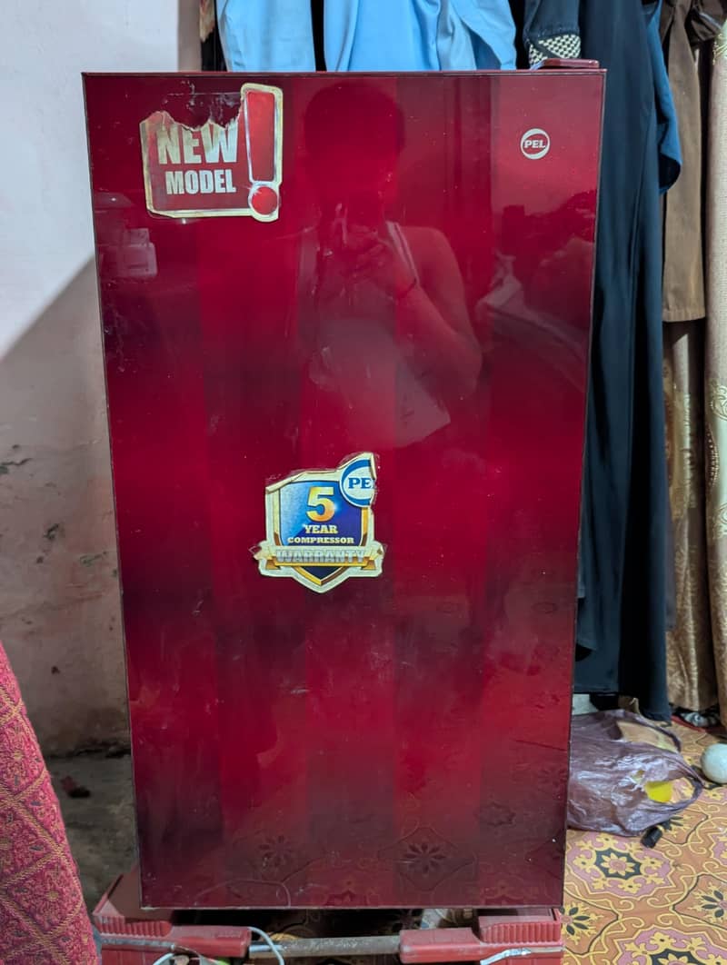 Pel Fridge 0