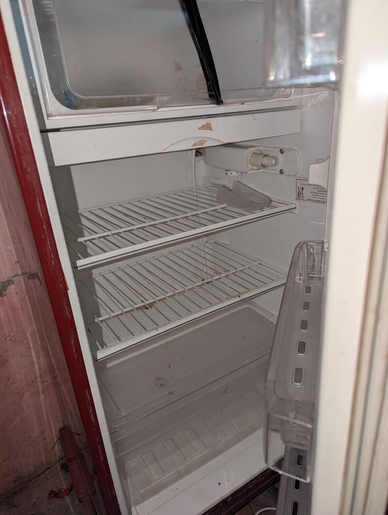 Pel Fridge 4