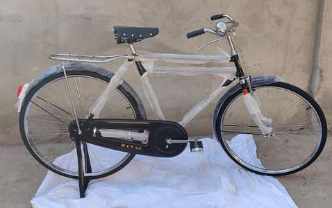 China Cycle 22" size.