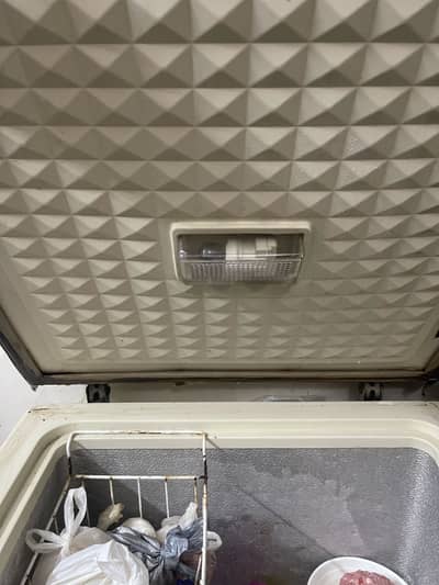 Deep freezer genuine condition