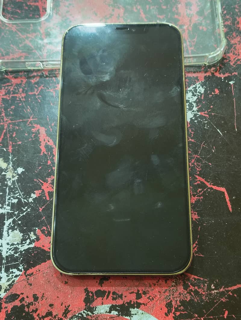 Apple iPhone 12 Pro Max 1