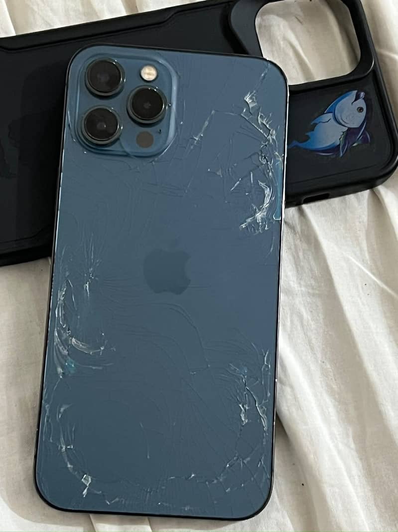 Apple iPhone 12 Pro Max 1