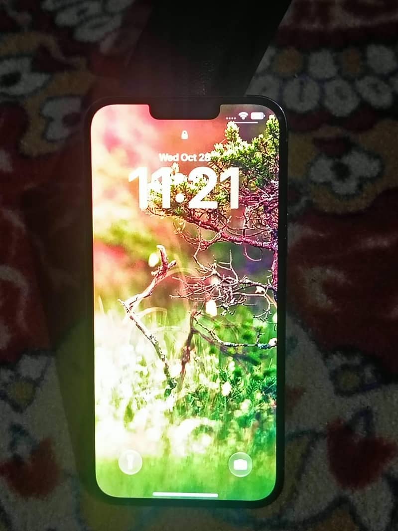 Apple iPhone 13 Pro Max 1