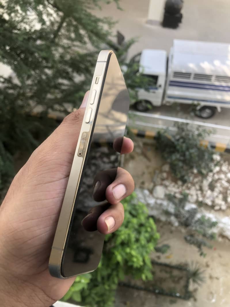 Apple iPhone 13 Pro Max 7