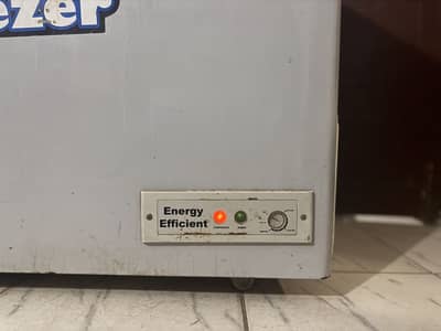 Pel Artic Deep Freezer