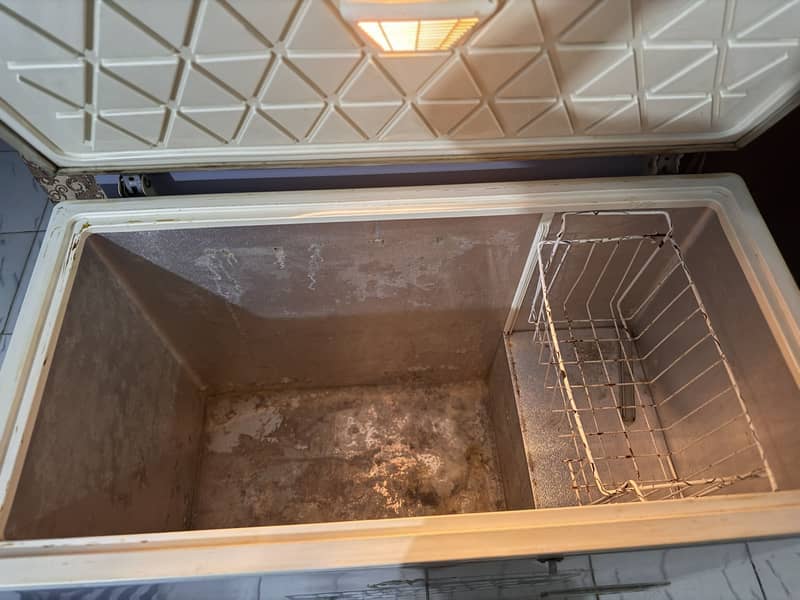 Pel Artic Deep Freezer 1