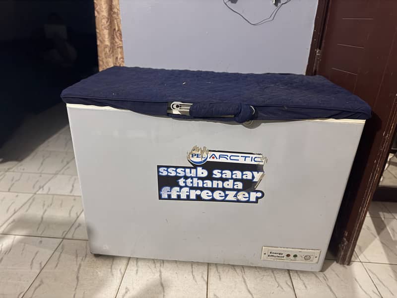 Pel Artic Deep Freezer 2