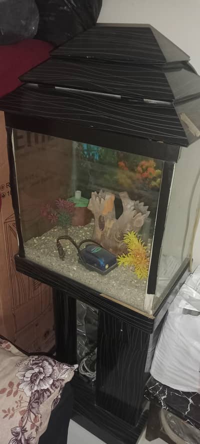 Aquarium for Sale in Good Condition