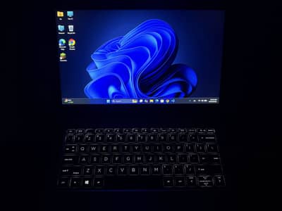 HP Elitebook (Touch screen)