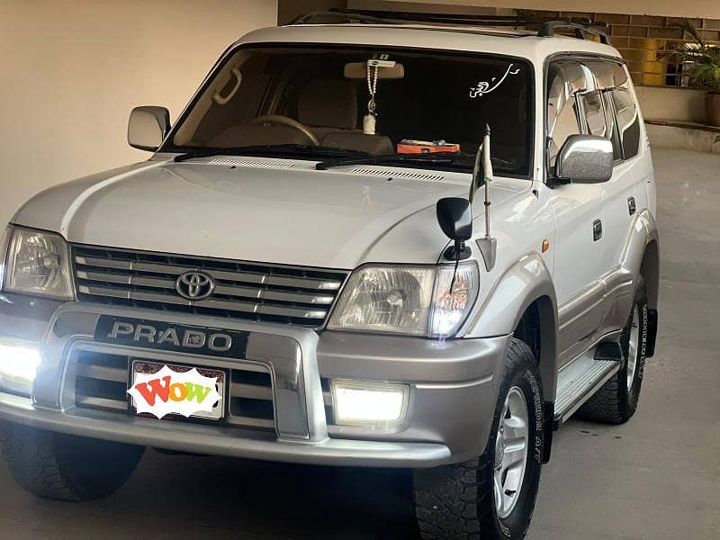pardo tz 2