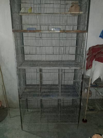 Cage 12 khano wala