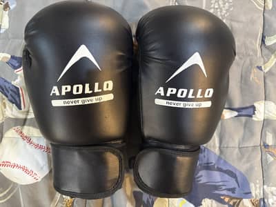 Apollo Original Boxing Gloves