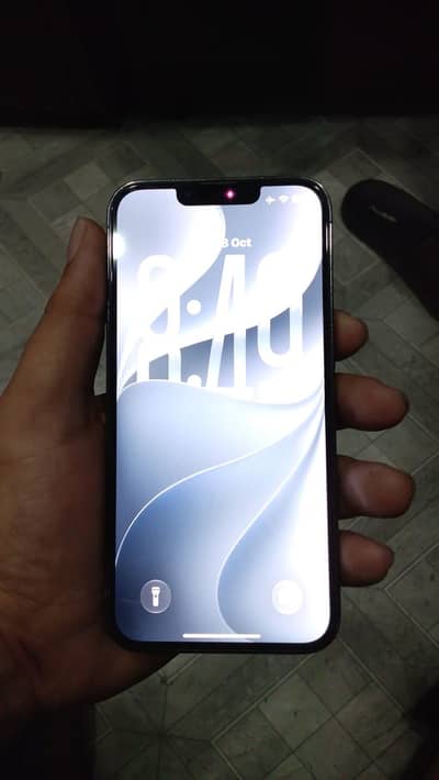 Apple iPhone 13 Pro