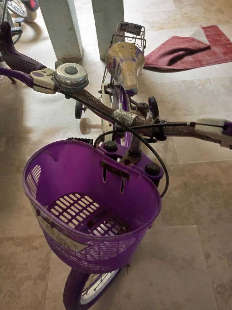 beby cycle 0