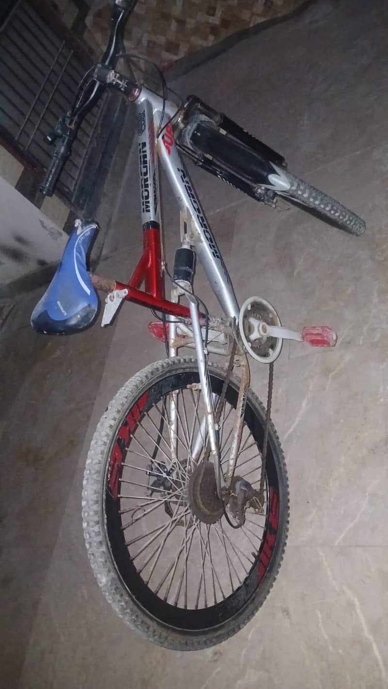 Morgan cycle 3