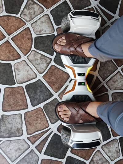 Hoverboard full size
