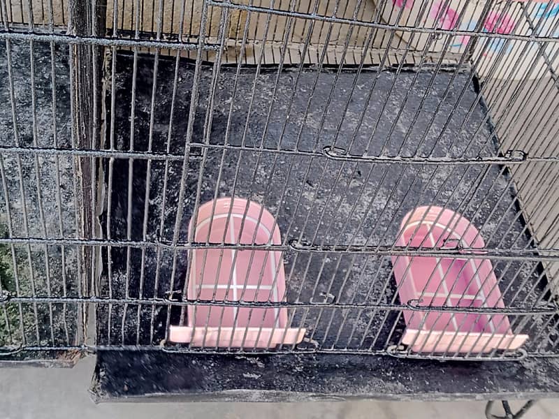 4 portion cage 0