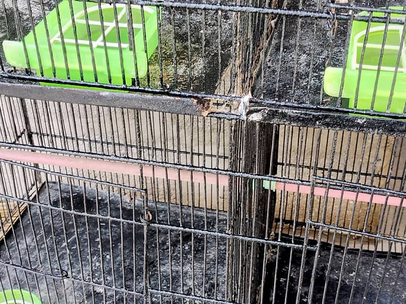 4 portion cage 1