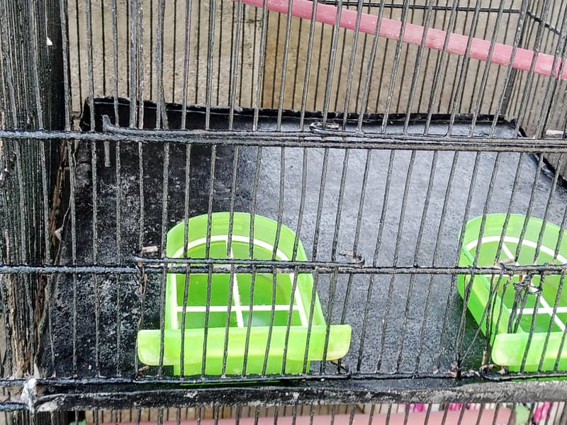 4 portion cage 4