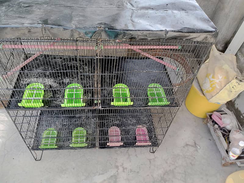4 portion cage 10