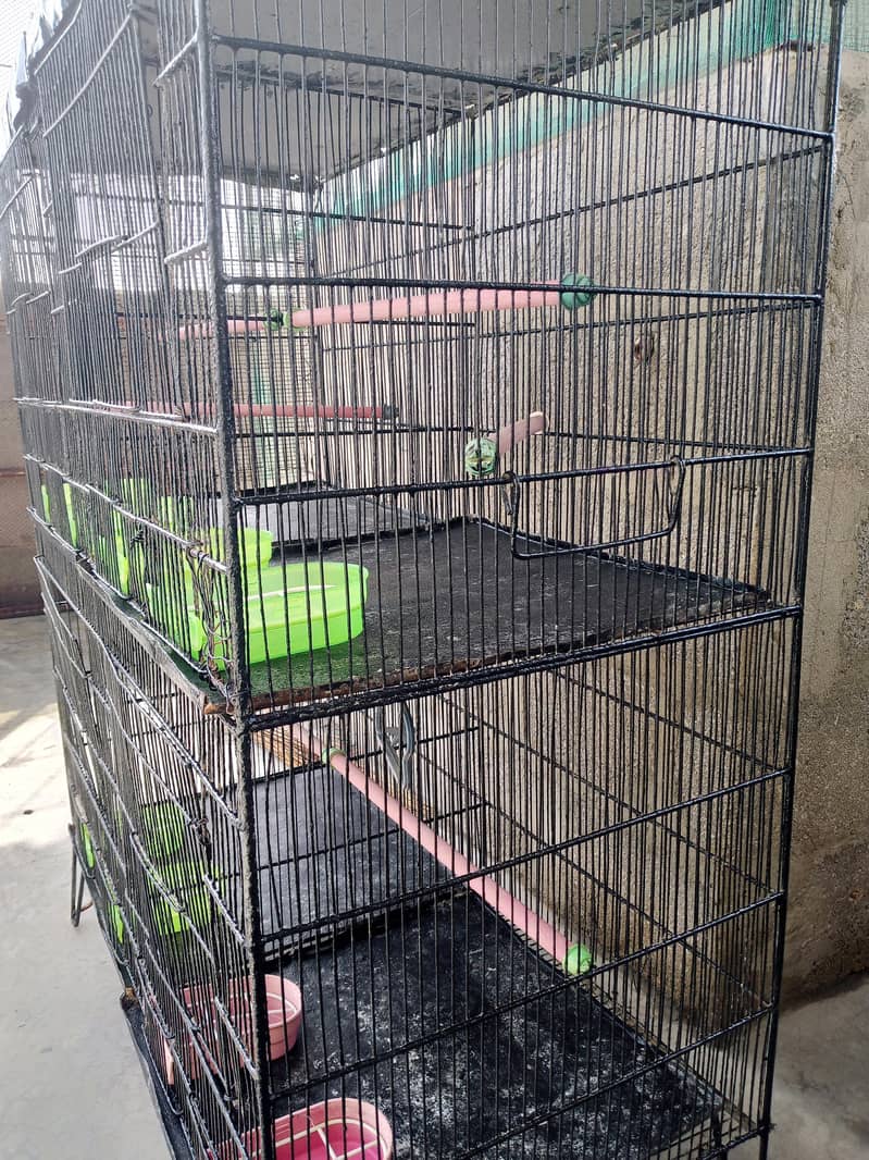 4 portion cage 11