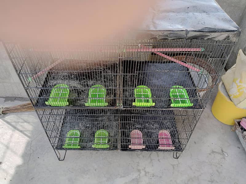 4 portion cage 12