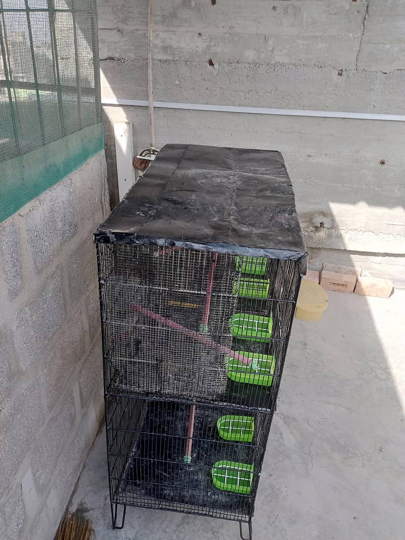 4 portion cage 13