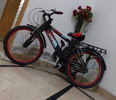 Title: BMX Bicycle – Excellent Condition