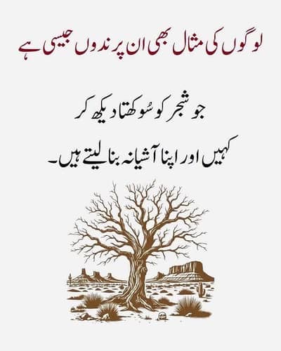 Female Maid is Required for Home