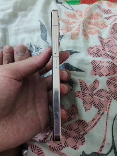Vivo V23 5g