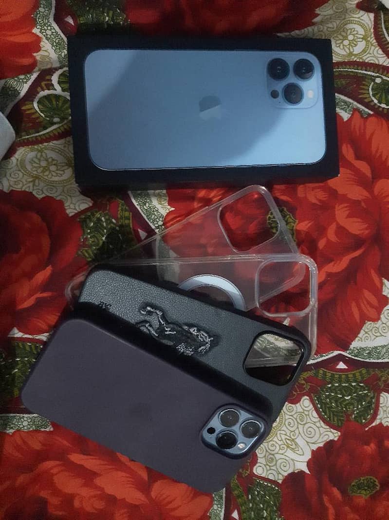 Apple iPhone 13 Pro Max 1