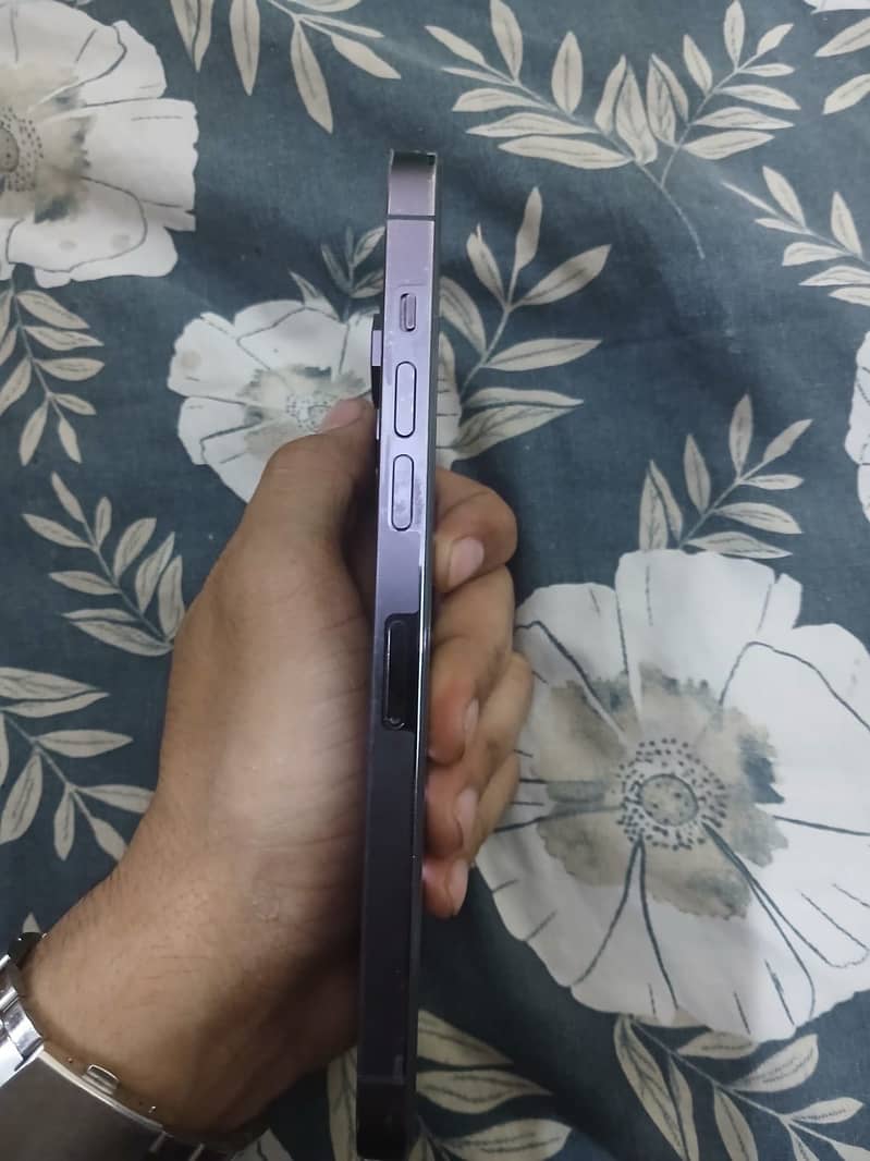 Apple iPhone 14 Pro Max 2