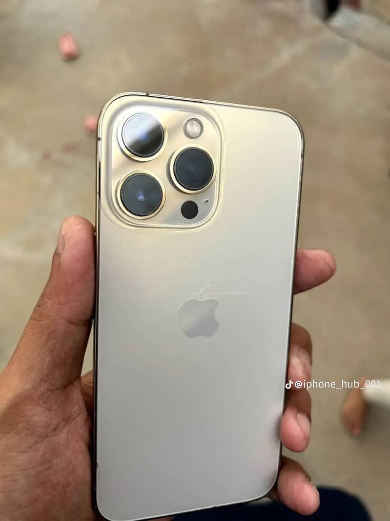 Apple iPhone 13 Pro 12