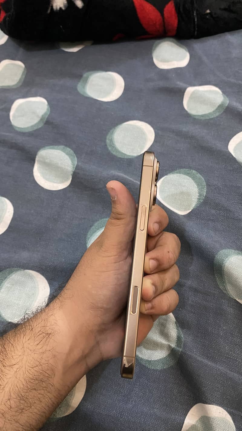 Apple iPhone 16 Pro Max 6